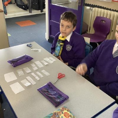 As part of our Science topic of Classification, we sorted vertebrates into different groups based on their attributes.