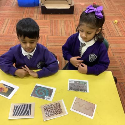 This week we have been continuing our learning about pattern, by exploring patterns on real-life objects and animals.