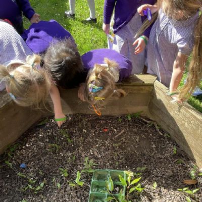 We used all of our investigating skills outside this week when we went on a minibeast hut.